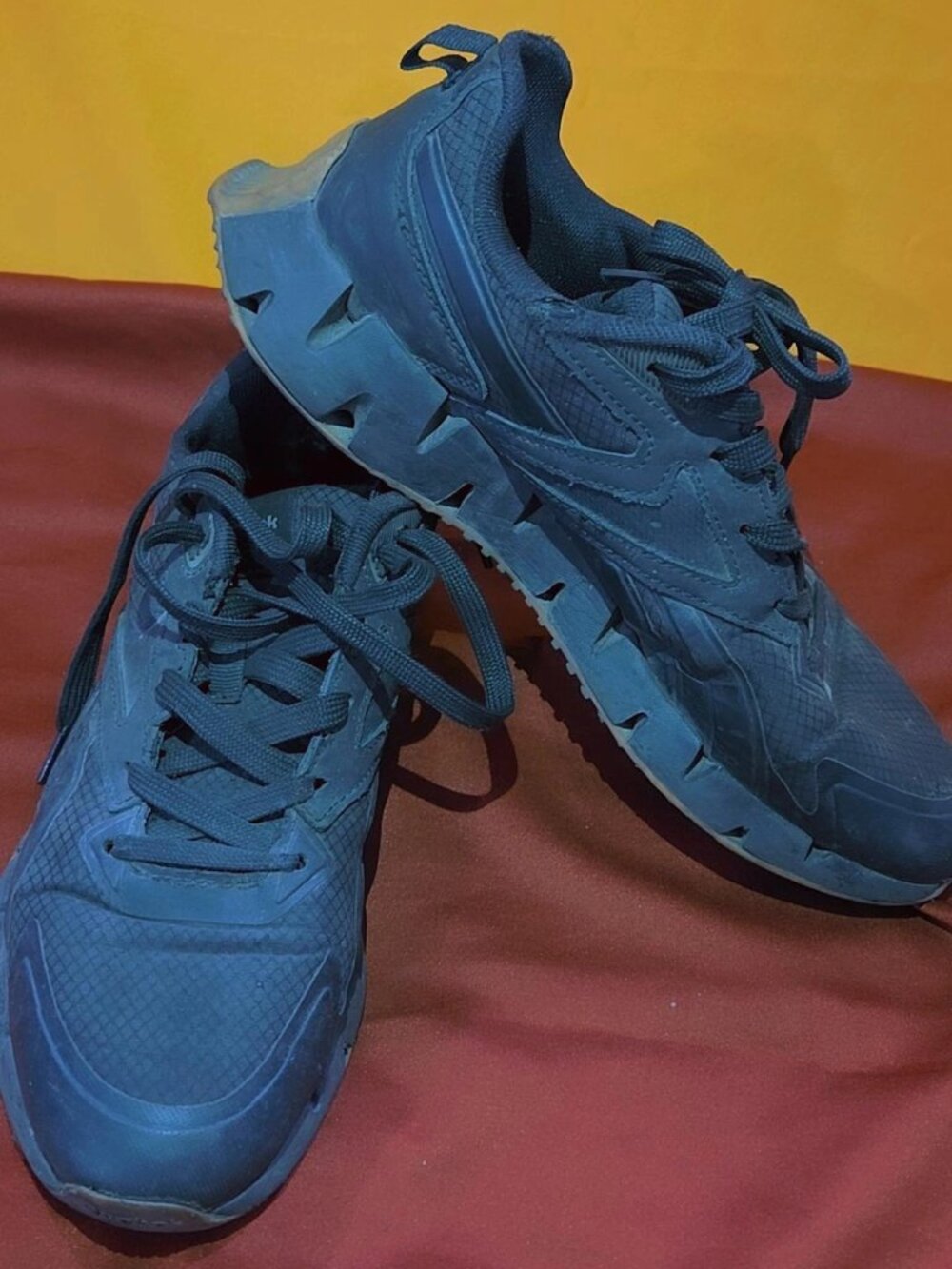 Reebok Zig Dynamica